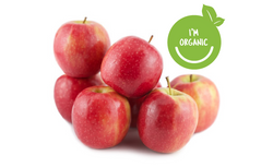 Eggplant - Wholesome Kitchen