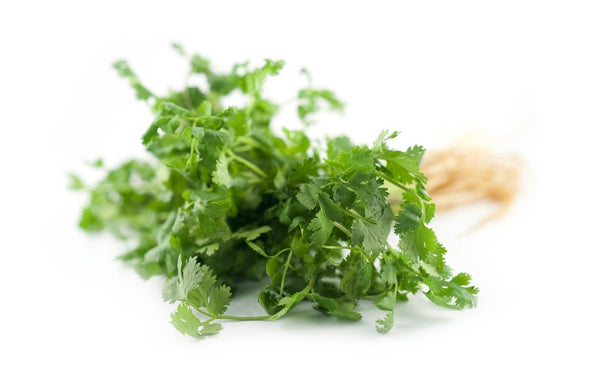 Coriander - Wholesome Kitchen