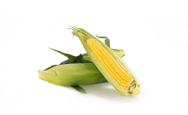 Corn