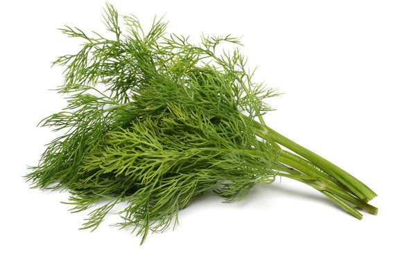 Dill - Wholesome Kitchen