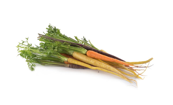 Heirloom Dutch Carrots