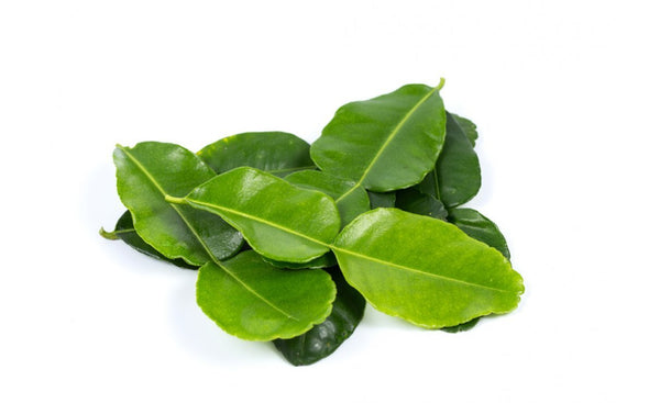 Kaffir Lime leaves - Wholesome Kitchen