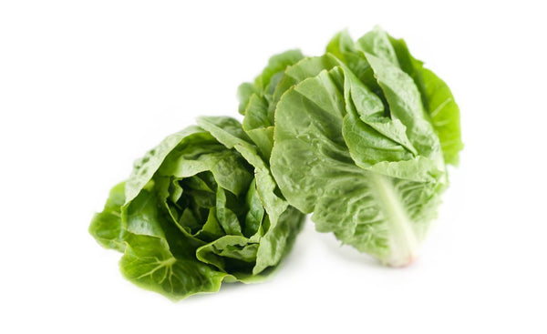 Baby cos - twin pack Green Lettuce - Wholesome Kitchen