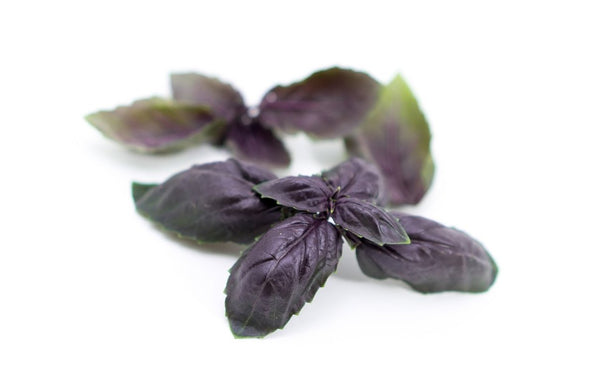 purple basil - Wholesome Kitchen