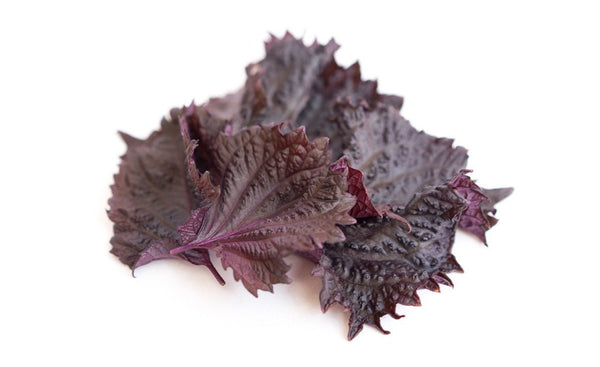 Red shiso - Wholesome Kitchen