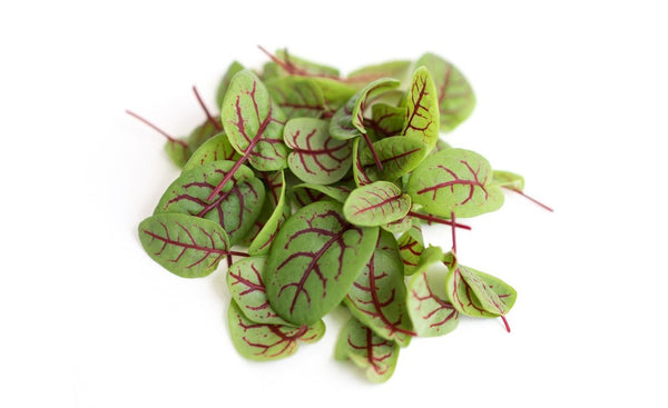 Red sorrel - Wholesome Kitchen