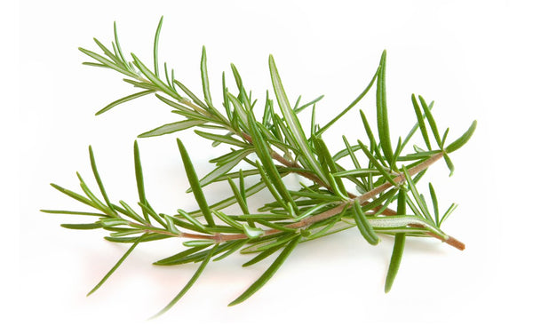 Rosemary - Wholesome Kitchen