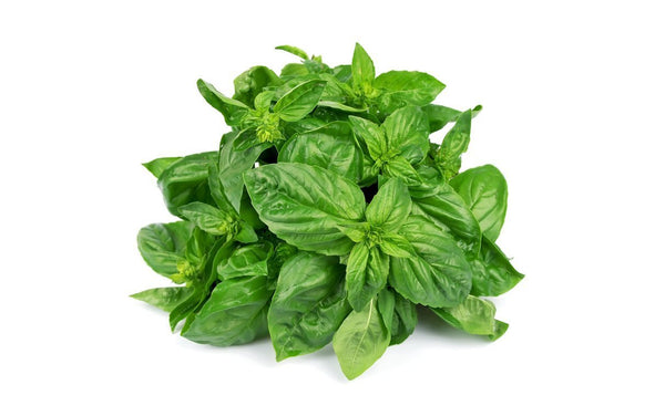 Sweet Basil - Wholesome Kitchen