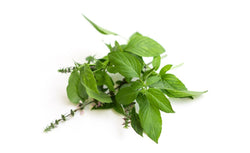 Sweet Basil - Wholesome Kitchen