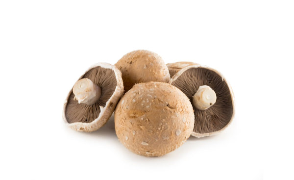 Portobello Mushrooms