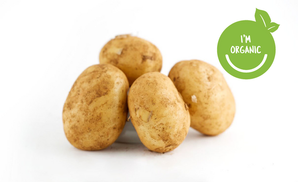 Organic Sebago Potatoes